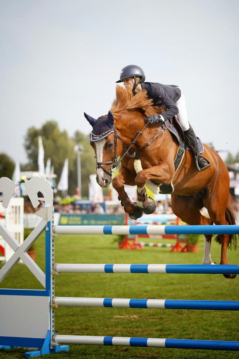 Jumping Arena